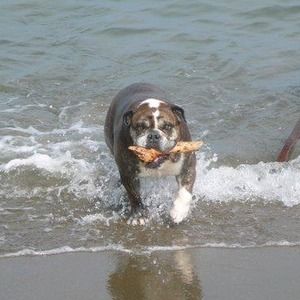 Meet your Posher, Nan